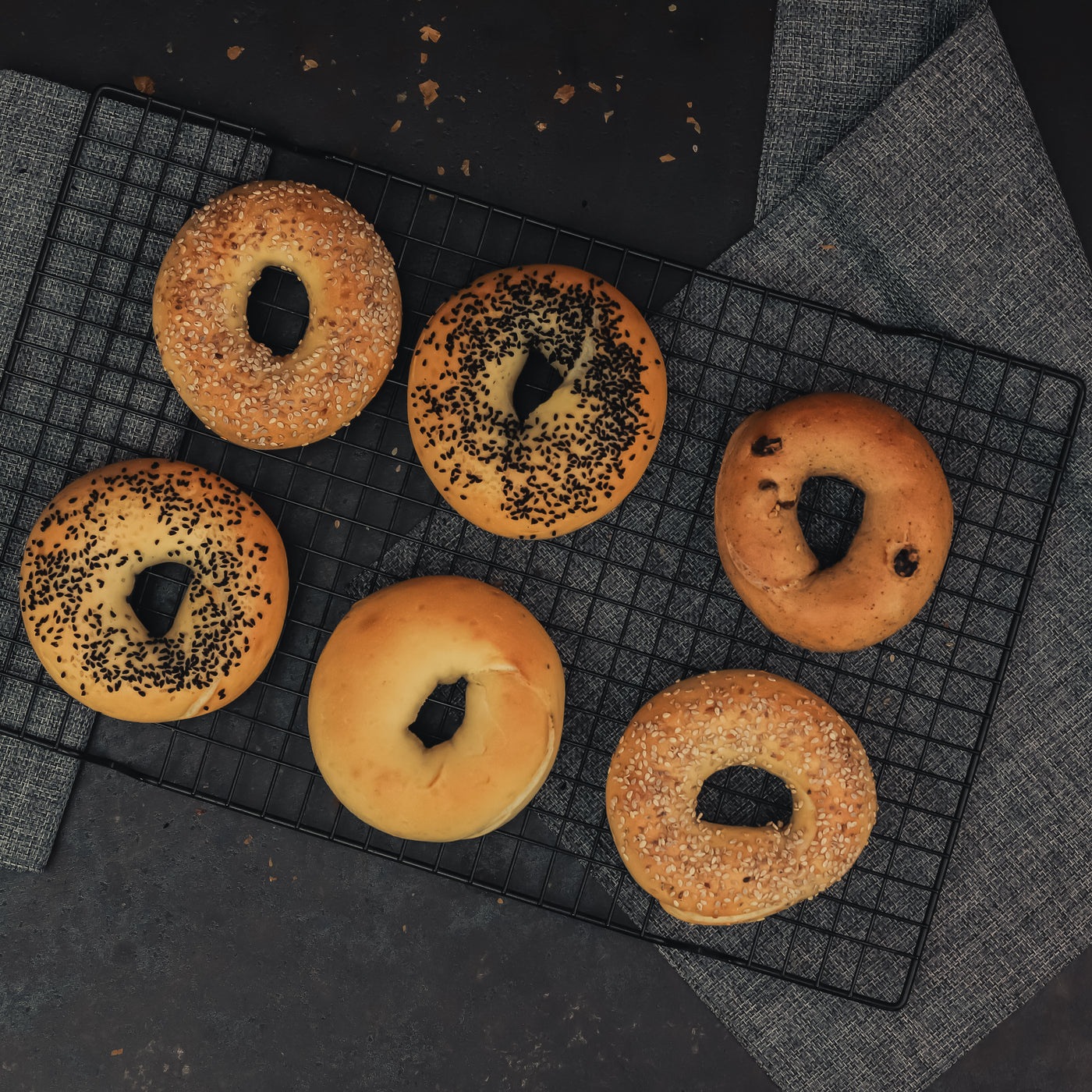 Six tasty bagels from Loafology Bakery & Café's Breakfast Fix on a black cooling rack with a grey cloth on a dark surface, ready to be paired with cream cheese or topped with a perfectly fried egg for an extra treat.